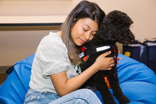 A photo of Moses the therapy dog being hugged by a young woman