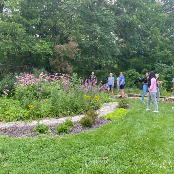 native plant garden being observed by people