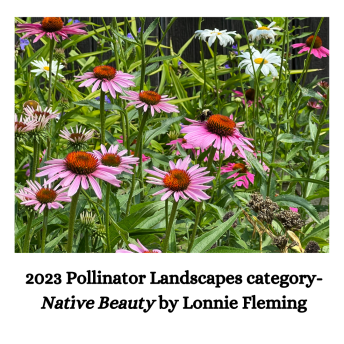 Landscape category 'Native Beauty' By Lonnie Fleming