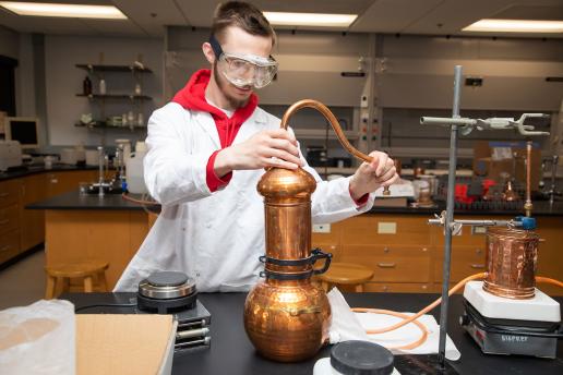 Student working in a lab