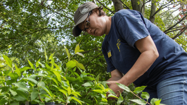 Students volunteer placing native plants around the Environmental Interpretive Center