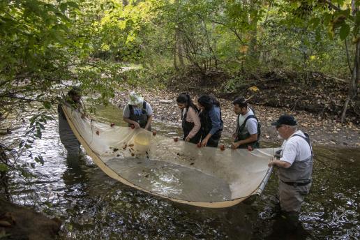 students doing field work in river