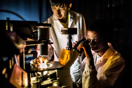 2 researchers looking microscope in bio lab