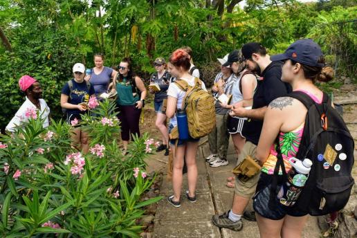 Students looking at flora in Monserrat