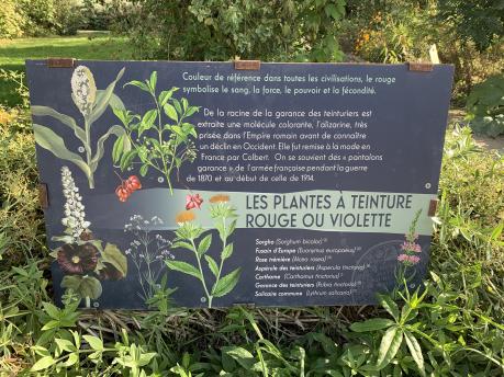 A sign in French with the headline: Les plantes a teinture rouge ou violette