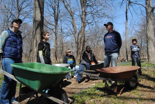 Stewardship Saturday work crew in field with wheelbarrows