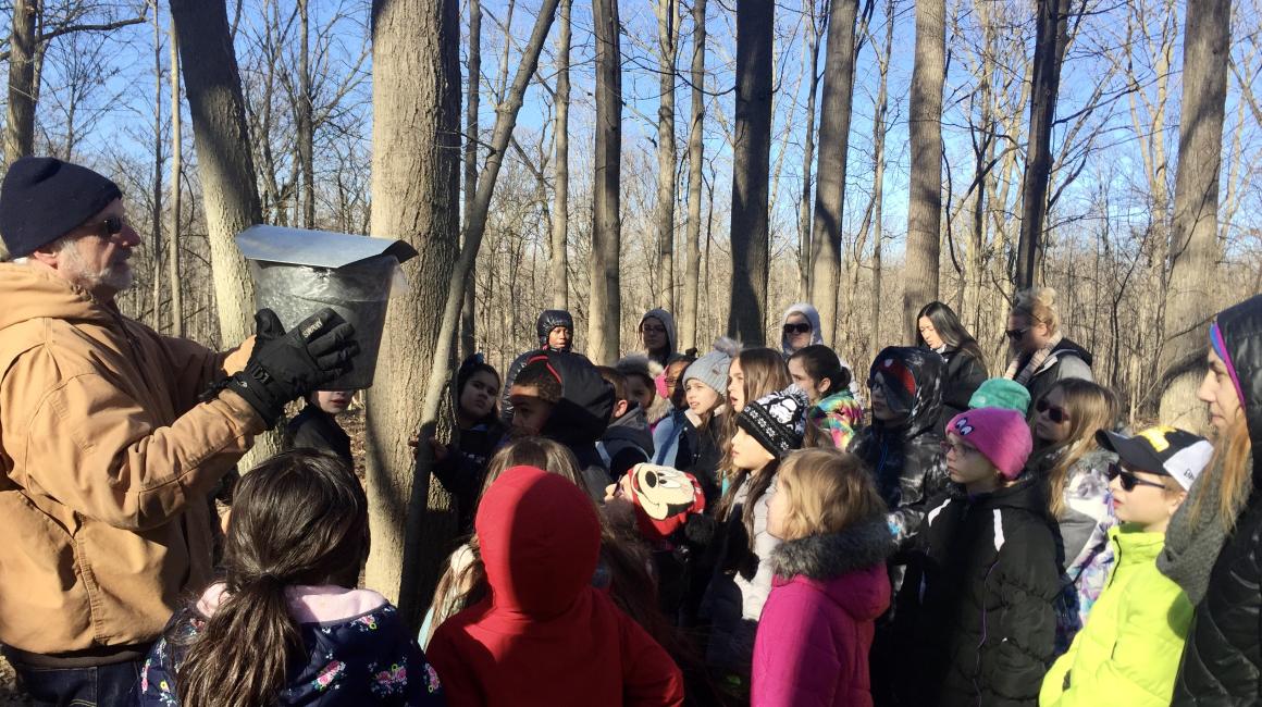 Photo of Arno Elementary School students learning about maple tree tapping at the EIC, 2018