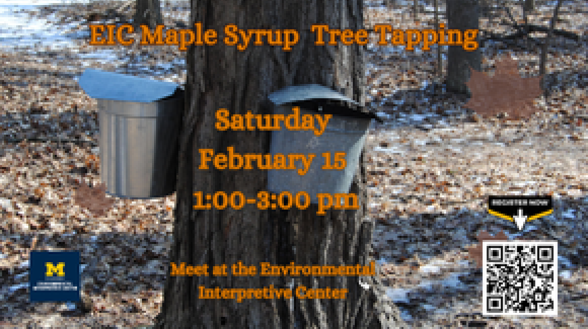 EIC Maple Tree Tapping Public Program Flyer