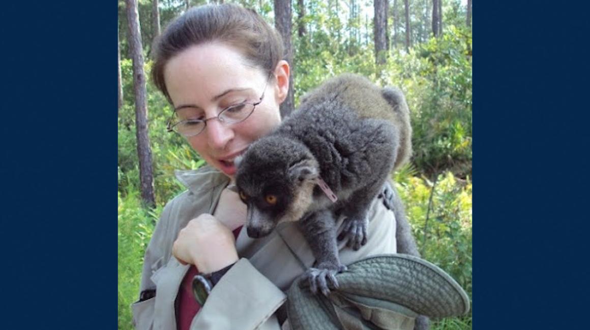  Associate Professor Francine Dolins with a common brown lemur 