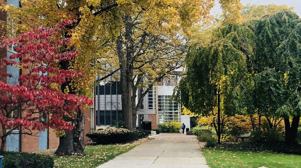  Fall colors on campus on the pathway to the Science Learning and Research Center. Photo by Sarah Tuxbury 