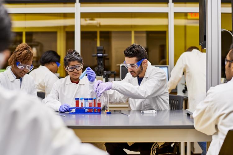 Students dressed in lab coats conducting experiments